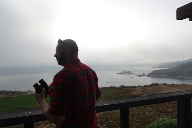 Coastal Photography Adventure on Misty Morning