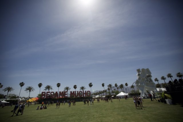 A Day in the Field at Coachella