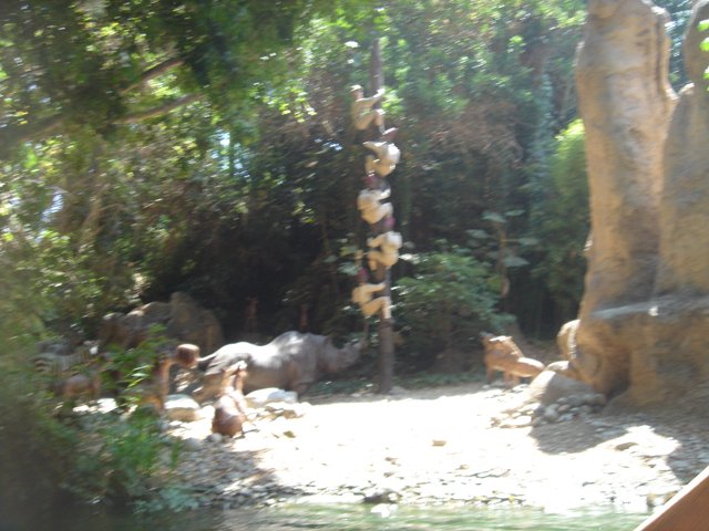 Wildlife Wonders at the Zoo