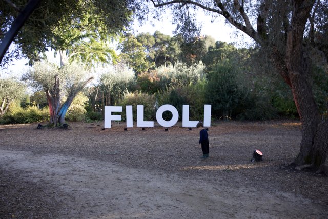 Exploring Filoli's Enchanted Grounds