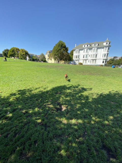 A stroll in Duboce Park