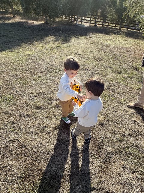 Childhood Playtime in the Meadow