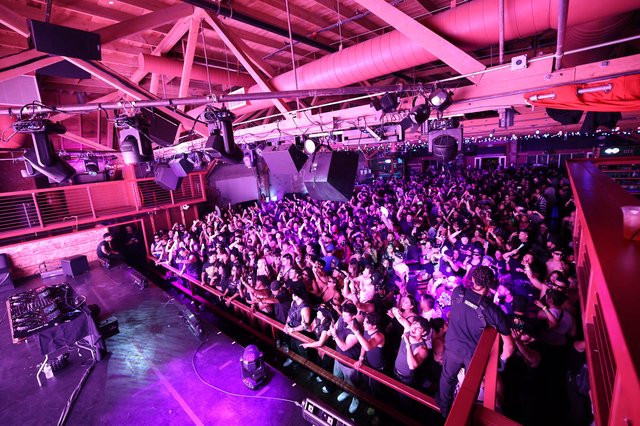 Massive Crowd Erupts at Wobbleland Festival 2026
