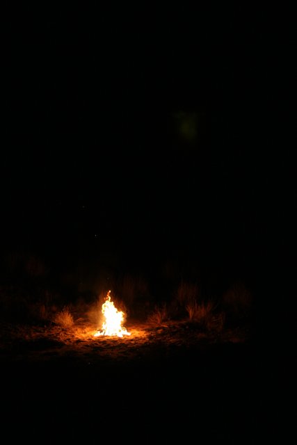 Bright Flames in the Desert Night