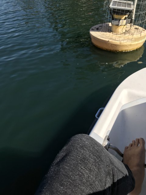 Barefoot on a Sailboat