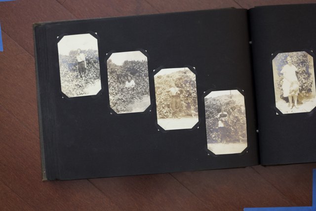 The Mineral Book of Memories