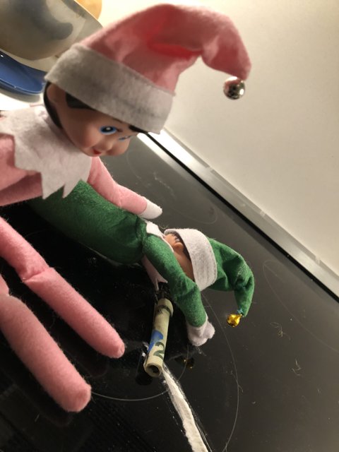 Elf on the Shelf Finds a New Playmate