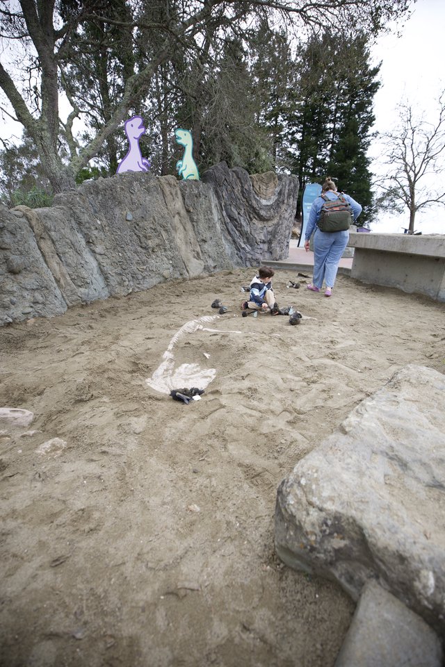 Child Playing in Dinosaur-Themed Sand Excavation Pit