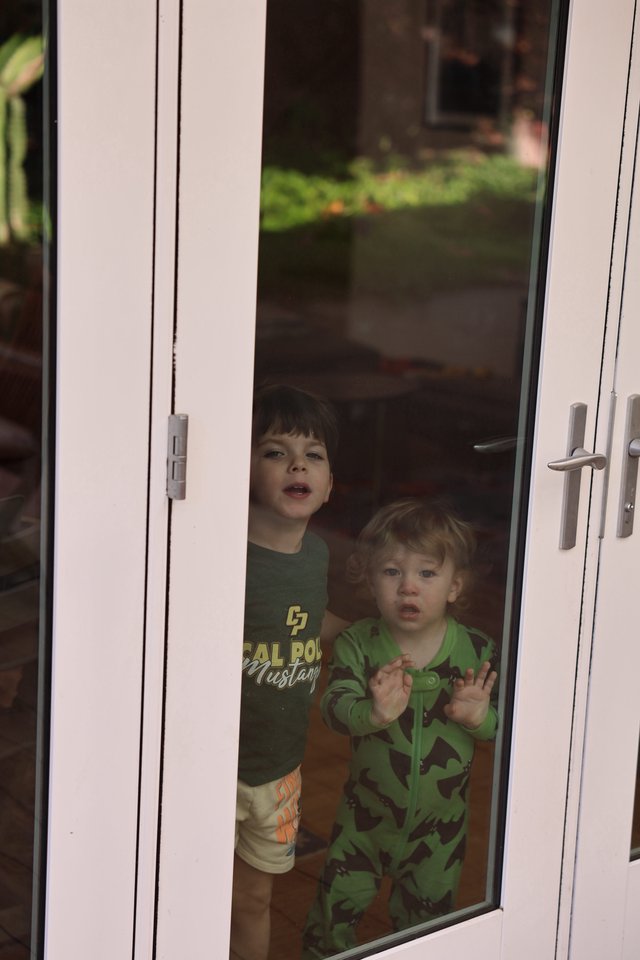 Two Children Peering Through Glass Door at Home