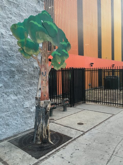 Green Leafed Tree on a Sidewalk in LA