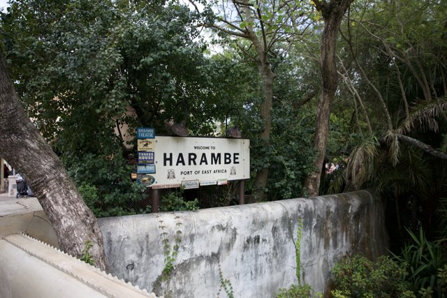 The Iconic Harambe Sign - Disney's Animal Kingdom