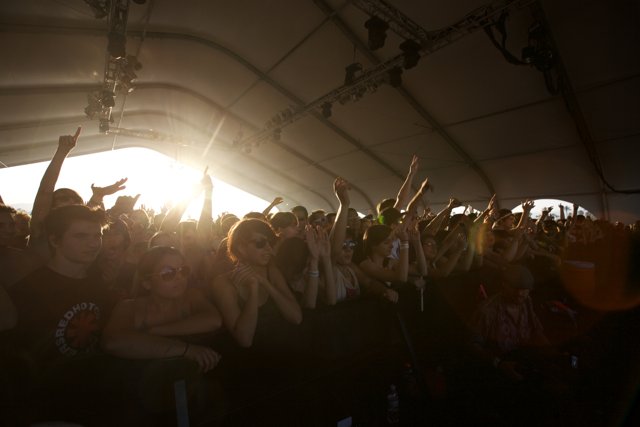 Vibrant Crowd at Coachella Concert
