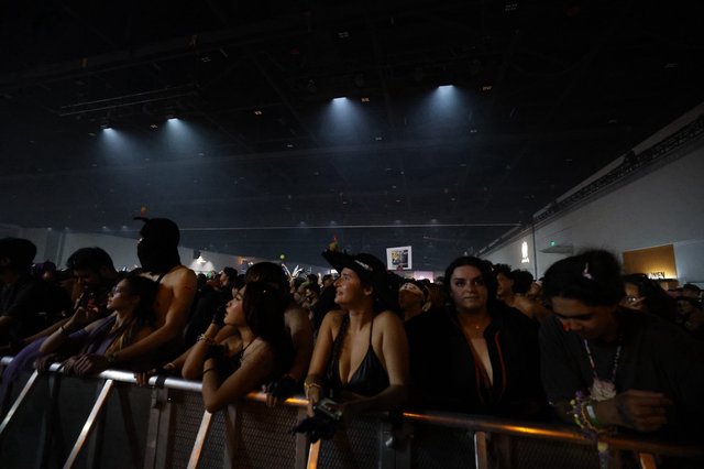 Crowd Surges at Wobbleland 2026 Festival