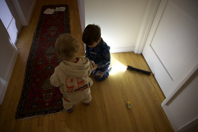 Playtime Adventures in Sunlight