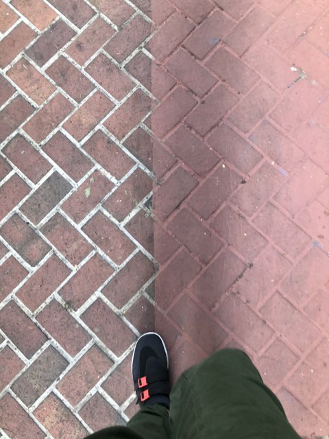 Brick Sidewalk Sneaks