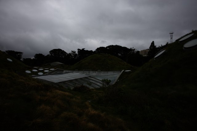 The Lush Green Roof of the New Zealand National Museum