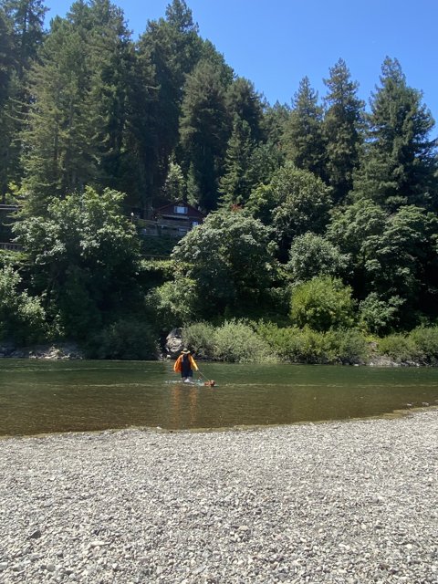 Kayaking Adventure on the Russian River