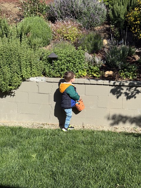 Springtime Adventures in the Garden