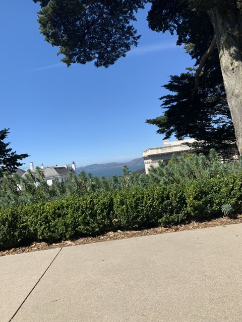 A Serene View of the Ocean from atop a Hill in Lafayette Park