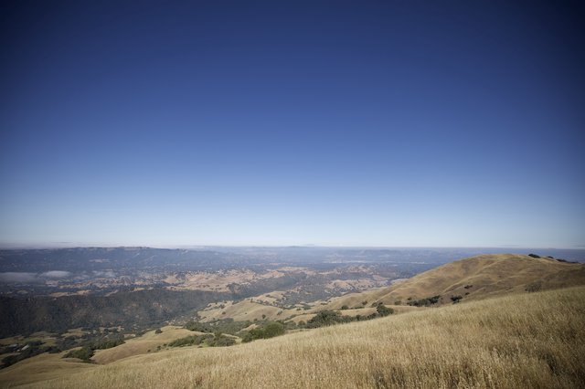 Previous