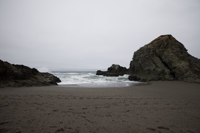 Rugged Cove at Low Tide on Overcast Coast