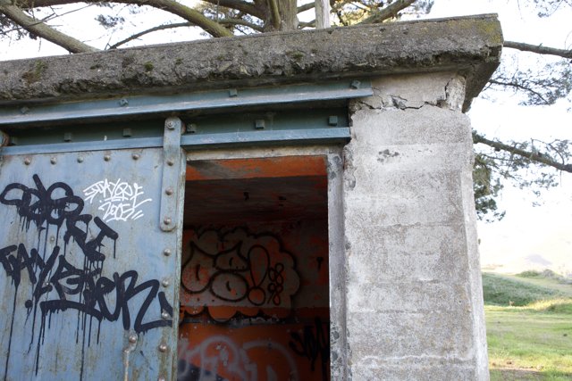 Graffiti on a Bunker Door