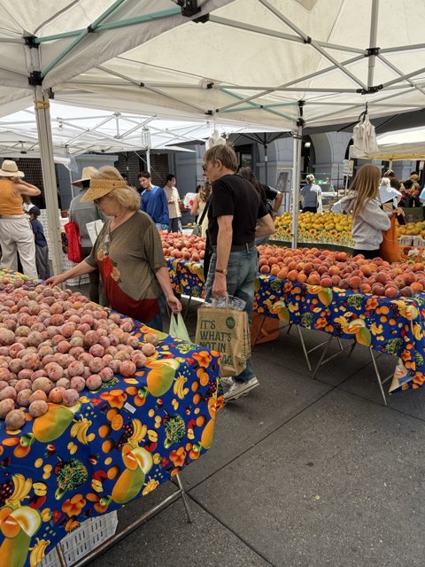 Summer Harvest at the Ferry Building