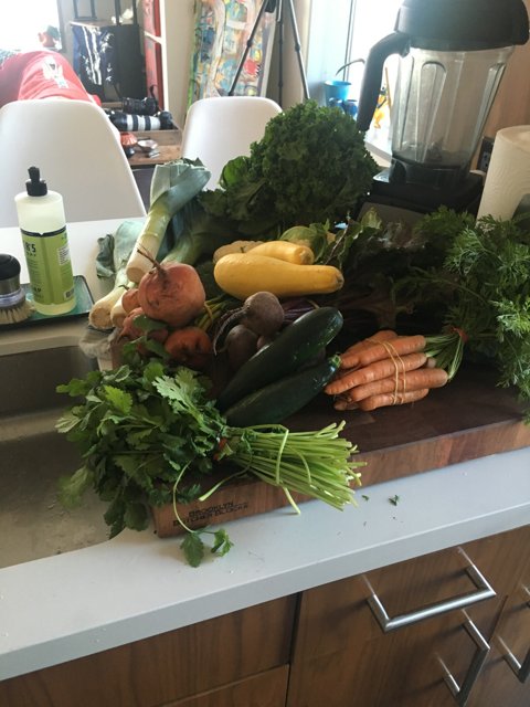 Kitchen Counter Full of Fresh Vegetables