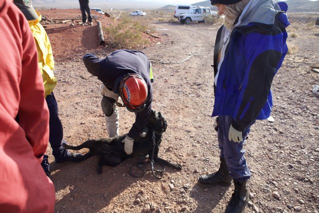 Rescue Team and Dog at the Mine