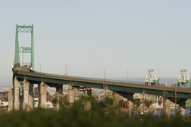 Serene Green Bridge over Waterfront