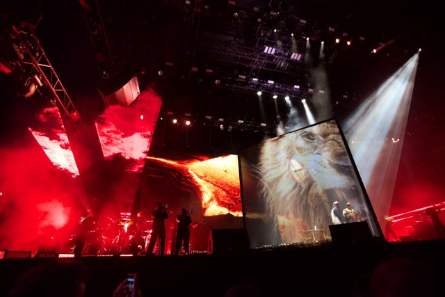 Lion on the Big Screen
