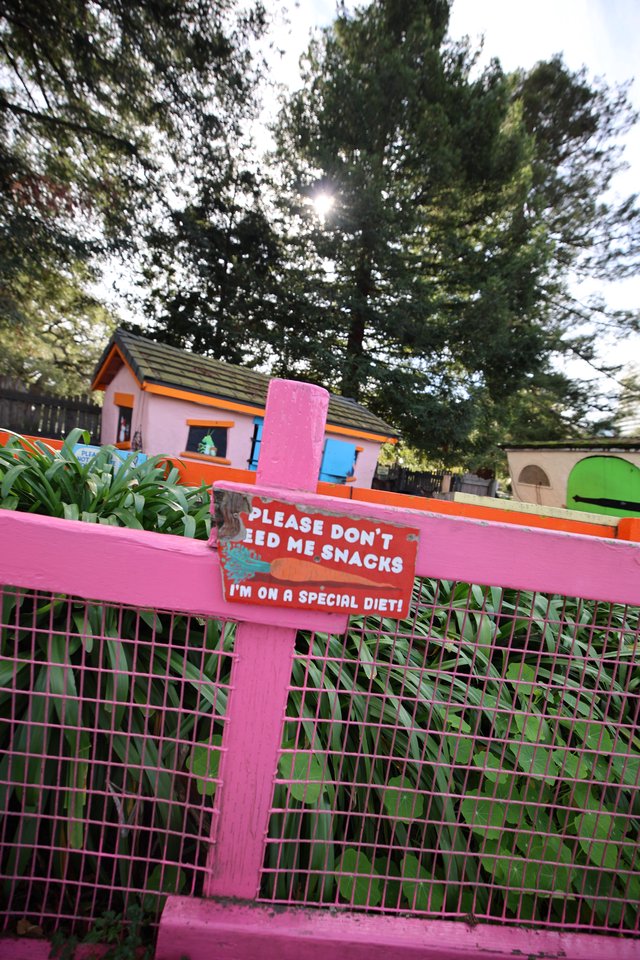 Colorful Animal Enclosure with Special Diet Warning Sign