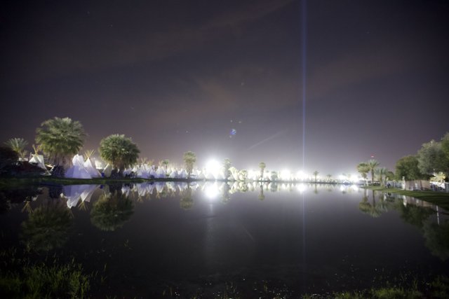 Palm Tree Lake at Night