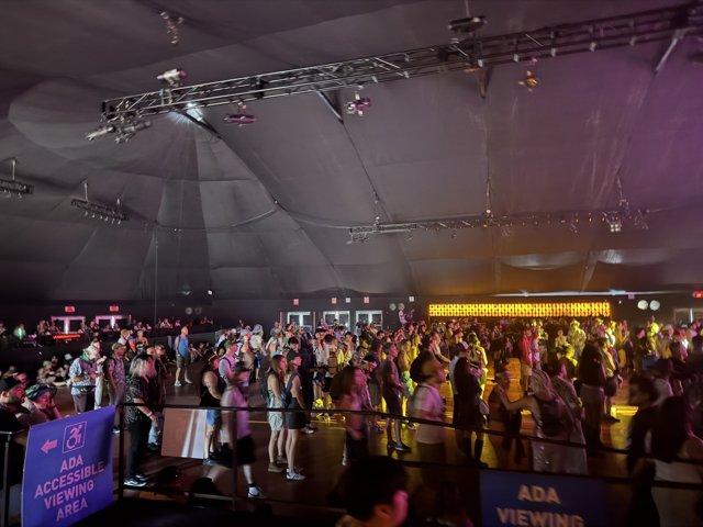 Electric Rhythms and Vibrant Crowds