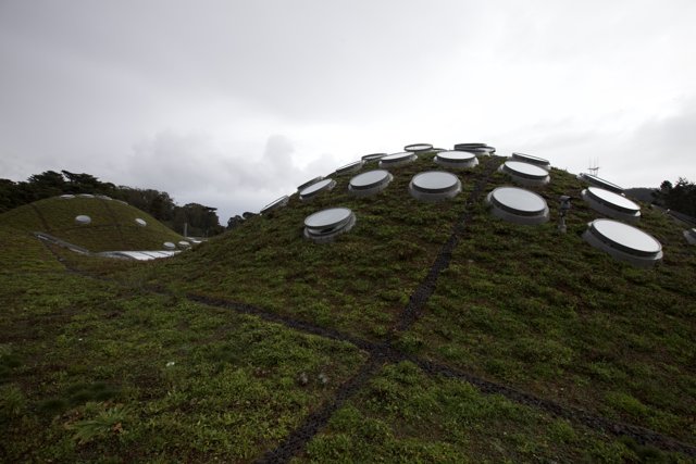 Circular Holes on a Green Roof