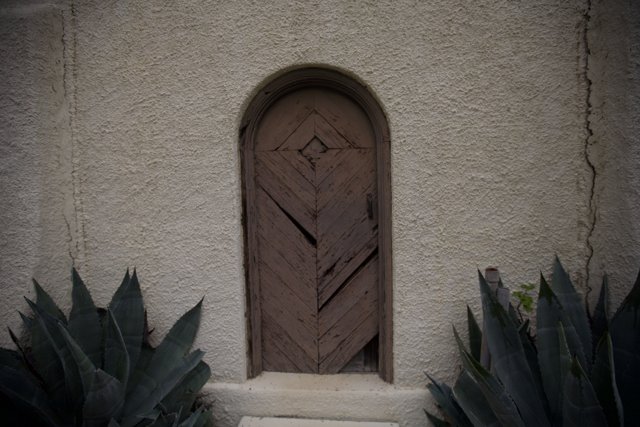 Wooden Arch Door