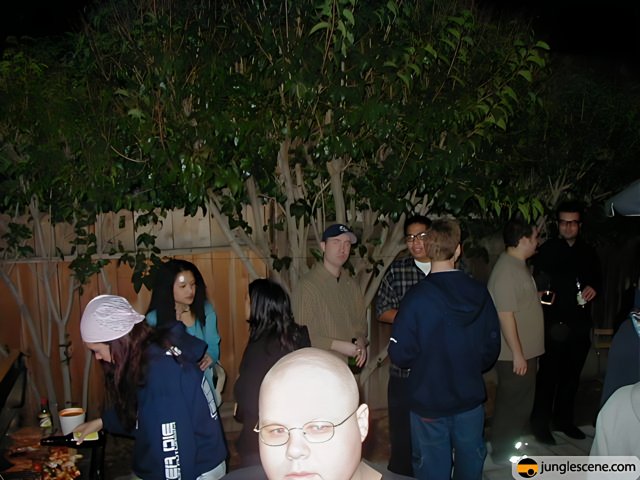 Nighttime Gathering Around a Potted Plant