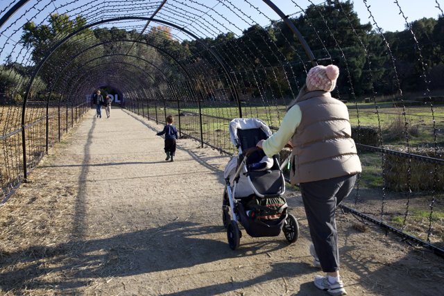 Stroll Through Thistlewyck's Enchanted Walkway
