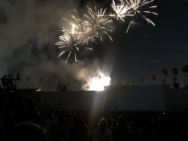 Fireworks lighting up the night sky over a crowded event