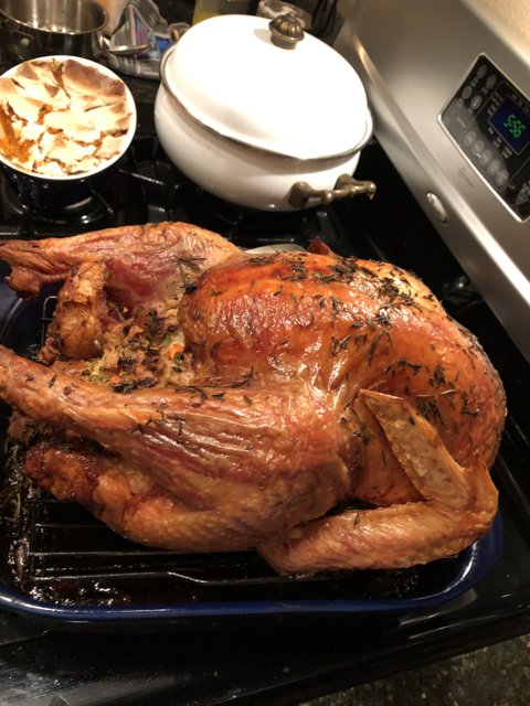 Perfectly Roasted Thanksgiving Turkey