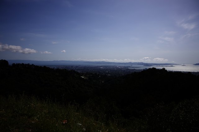 A Panoramic View of Berkeley Hillside