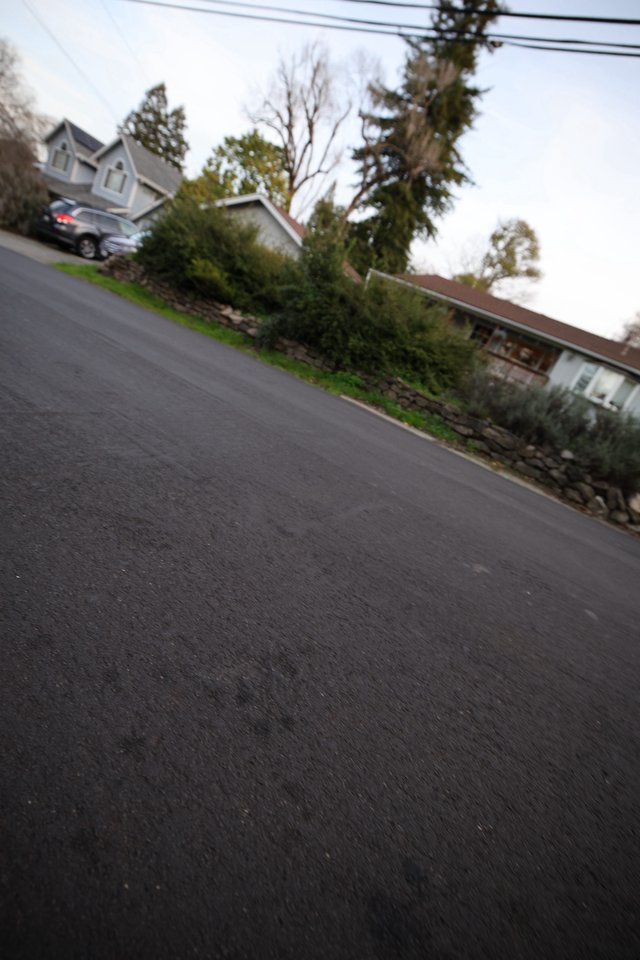 Quiet Residential Street on Overcast Day