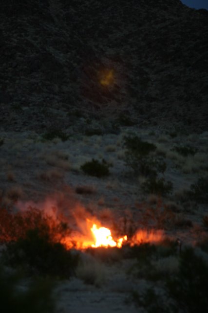 Desert Flames