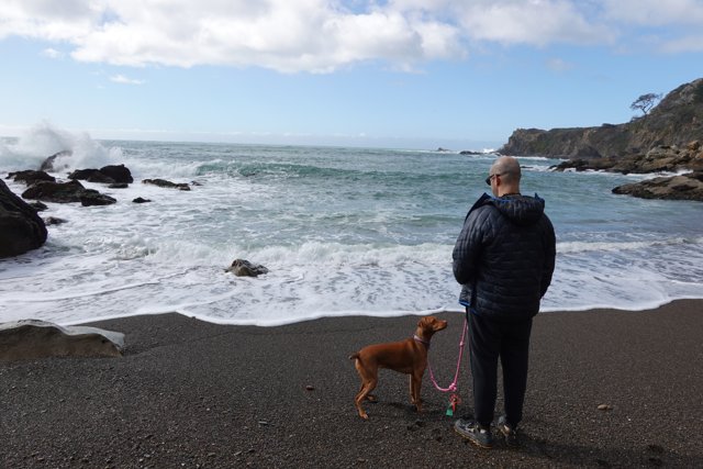 Man and Dog Enjoying a Day at the Beach