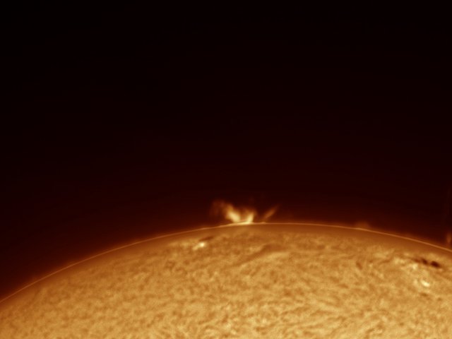 Solar Surge Prominence Erupting from Sun's Limb