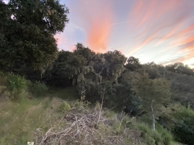 Serene Sunset Over the Carmel Valley