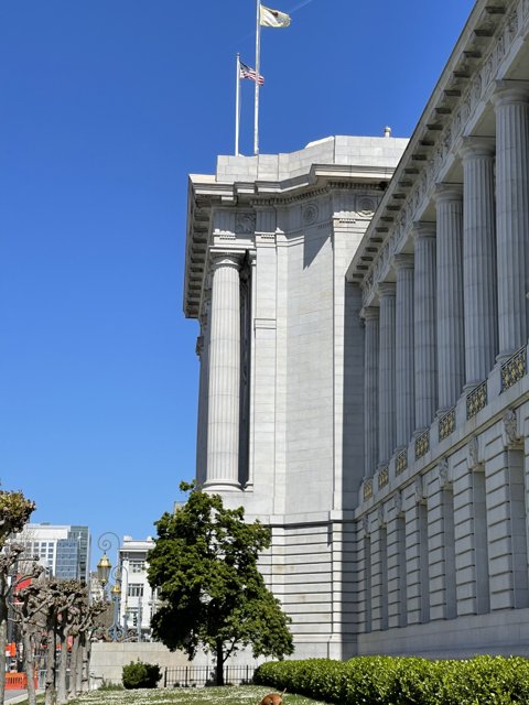San Francisco City Hall Under Blue Skies