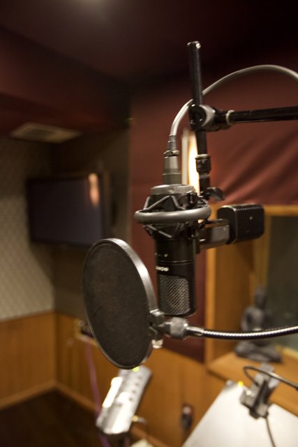 Studio Microphone in Wooden Surroundings