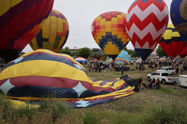 Colorful Hot Air Balloons Fill the Sky at Festival