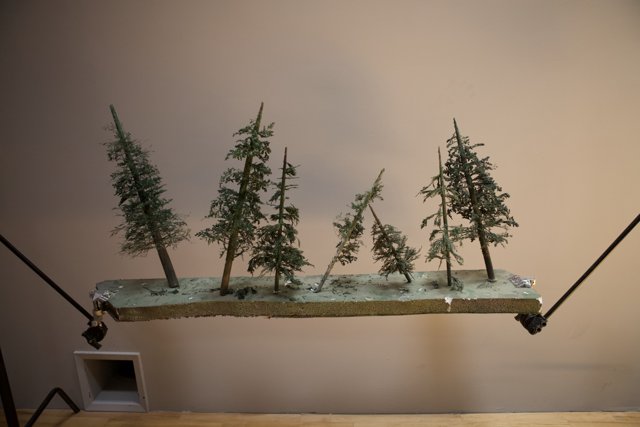 Miniature Forest